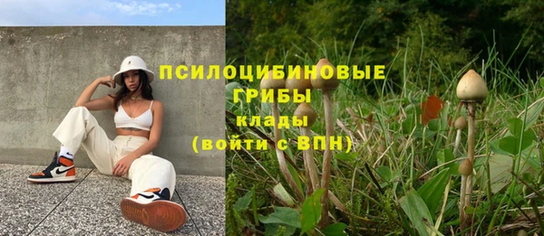 спайс Верея