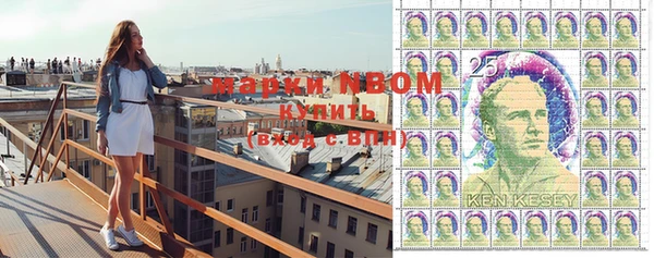 хмурый Бронницы