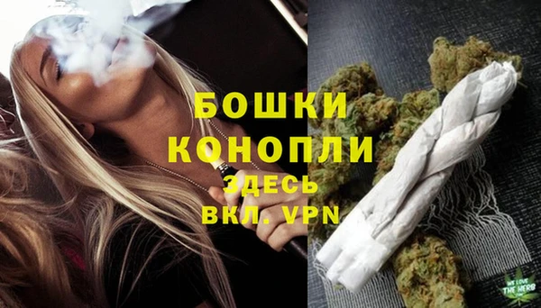 спайс Верея